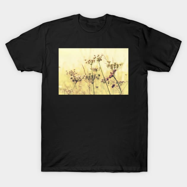 Wildflower Dreams T-Shirt by InspiraImage